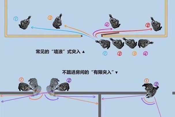 战术策略与细节把握