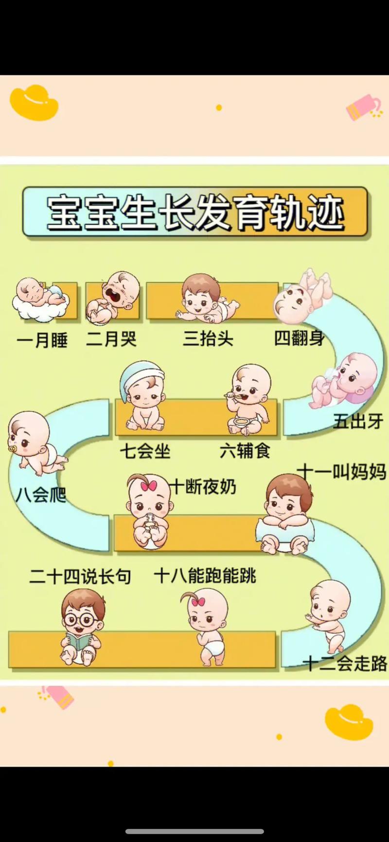 前期准备与发育