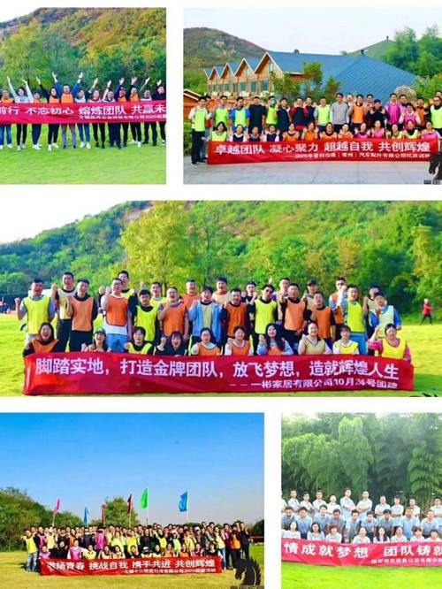 团队协作,共赴荣耀之路