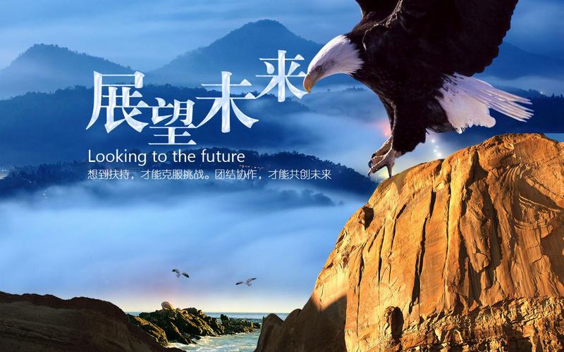 展望未来,无限可能