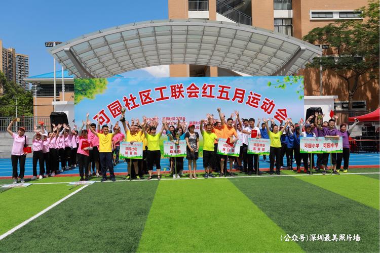 社区反响与未来展望