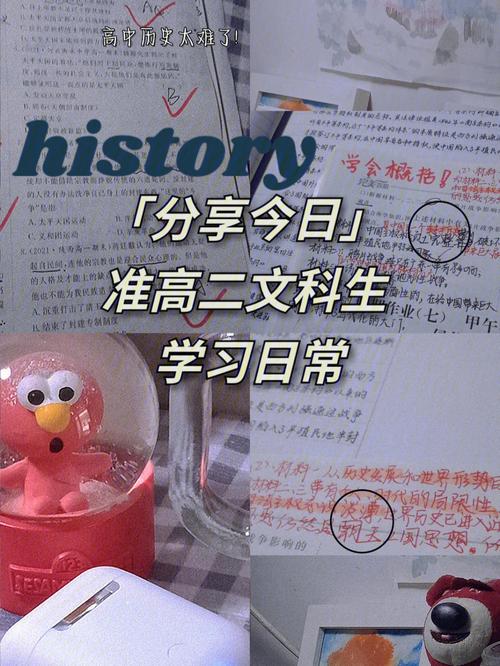 “8分钟宰一只羊”，这听起来几乎不可思议的速度，却是李晓晴日复一日、年复一年苦练的结果，在大多数人眼中，宰羊是一项既需要勇气又考验技巧的工作，而对于她而言，这已是家常便饭，从最初的胆怯到后来的熟练，每一个细节都凝聚着她的汗水与努力，她深知，每一次精准的切割，不仅是对羊的尊重，也是对自己技艺的磨砺。