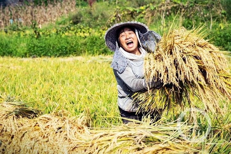 随着短视频平台的兴起，李晓晴的宰羊视频被网友广泛传播，她那娴熟的技艺、坚定的眼神以及面对镜头时的那份从容，深深打动了无数人的心，一时间，“真·荒漠屠夫”的称号不胫而走，李晓晴成为了网络上的红人，面对突如其来的关注，她并没有迷失自我，反而更加坚定了自己的信念——用双手创造未来，用技能改变命运。