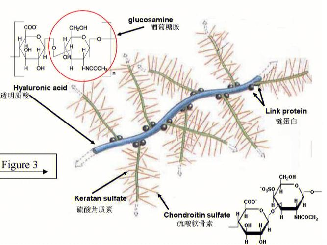 科学视角下的解读