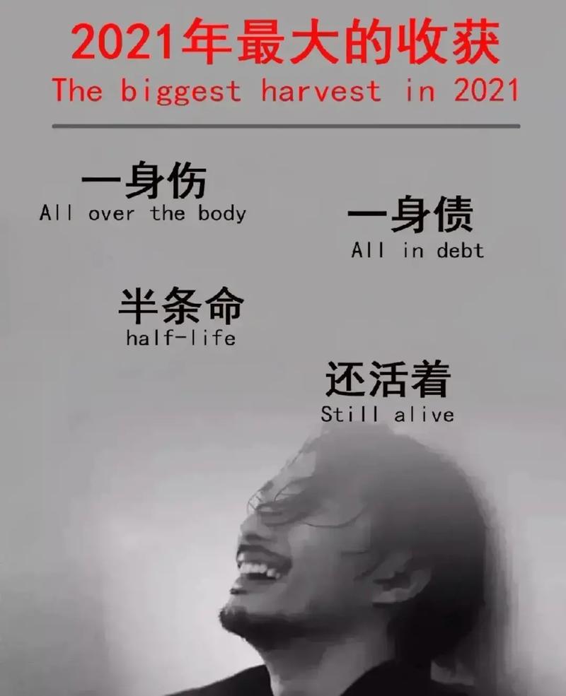 在这个过程中,我们或许会感到遗憾与不舍,但更应看到文化变迁所带来的机遇与希望,正如囧图以其独特的魅力赢得了广泛的喜爱与认可一样,未来的文化创作也将继续探索新的形式与内容,以满足人们日益增长的精神文化需求,而在这个过程中,我们既要勇于接受新事物、新观念,也要坚守那些能够触动人心、传递正能量的文化价值与精神追求。