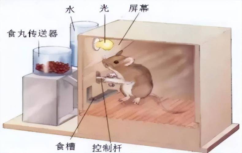 蚂蚁庄园之所以深受用户喜爱,不仅在于其每日更新的题目和丰富的奖励机制,更在于其背后所蕴含的知识价值,每一道题目都是对用户知识储备的一次小考验,也是一次新知识的学习机会,通过参与答题,用户可以在不知不觉中拓宽视野,增长见识,提升自我。