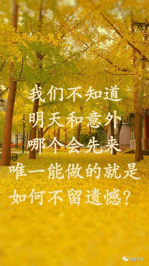 引言:一场意外的生命消逝