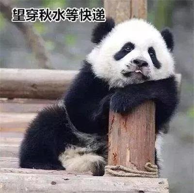 在这起事件中,小乌龟从湖南出发时,或许还沉浸在即将拥有新家的喜悦中,随着快递车的北上,气温逐渐下降,而它所处的狭小空间内,既没有足够的保暖措施,也无法获得必要的生存条件,当包裹最终抵达东北,打开的那一刻,迎接它的不是温暖的怀抱,而是刺骨的寒冷和生命的终结,小乌龟被冻成了“乌龟干”,这一幕不仅令人痛心,更是对活体动物快递现状的强烈控诉。