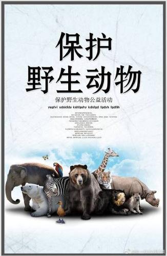 公众应提高保护动物的意识,认识到活体动物不是简单的商品,它们是有生命的个体,需要得到尊重和爱护,在选择宠物时,应优先考虑领养而非购买,以减少对活体动物市场的需求,从而间接促进这一行业的规范与健康发展。