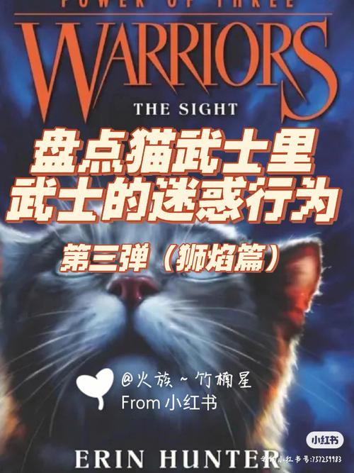 第三幕:尺寸迷惑