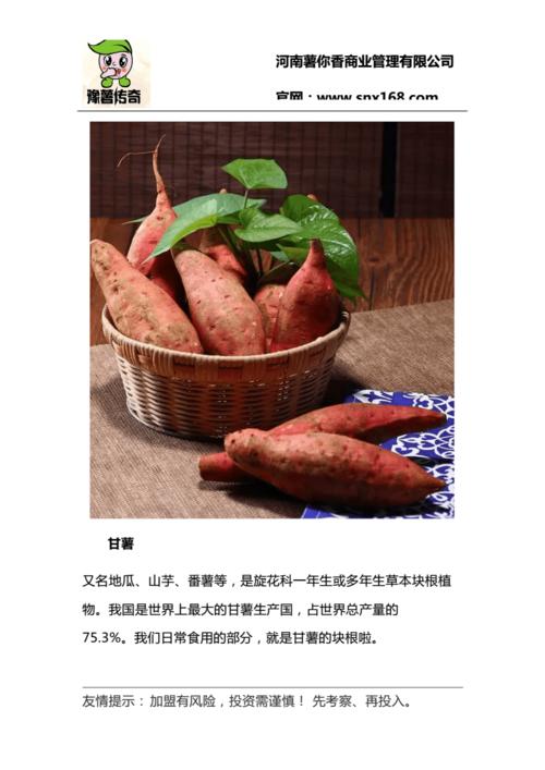 红薯的营养价值与食用方式