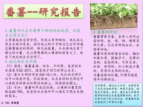 红薯文化的传承与创新