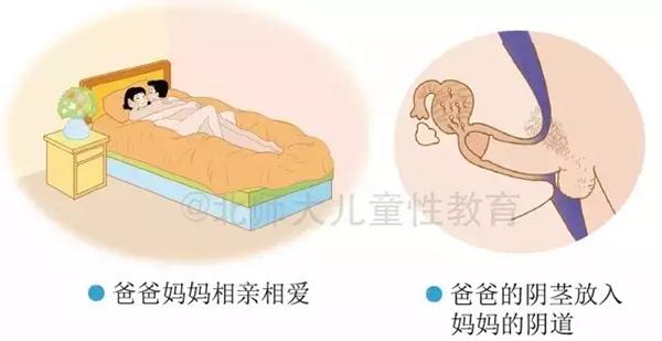 3、提高教师和家长对性教育的认识:加强对教师和家长的性教育知识培训,提高他们的认识水平和教育能力,只有这样,才能更好地引导学生正确获取性教育知识,促进学生的身心健康和全面发展。