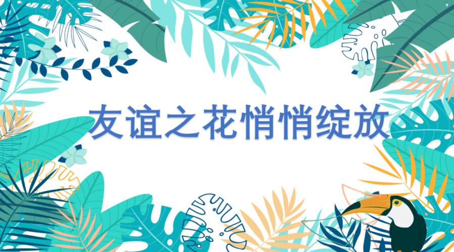 社交乐园,友谊之花绽放