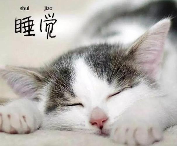 在繁忙的都市生活中,良好的睡眠似乎成了一种奢侈,程女士的故事,如同一面镜子,映照出无数人在睡眠问题上的挣扎与无奈,她为了获得一夜安眠,不惜采取极端措施——每天扛着重达20至30斤的沙袋长达12小时,这一行为不仅令人震惊,更引发了社会各界对睡眠障碍问题的深刻反思。