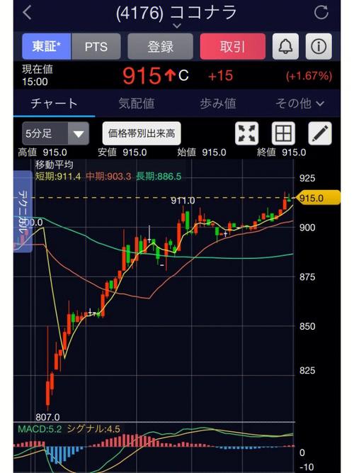 策略与运气的双重考验