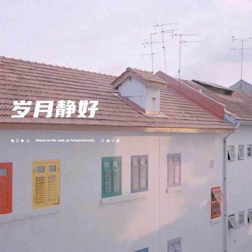 各自精彩:岁月沉淀下的多样人生
