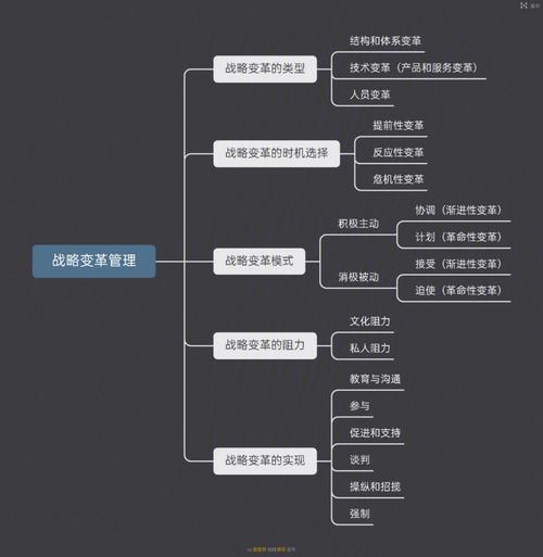公司运营策略:创新与风险并存
