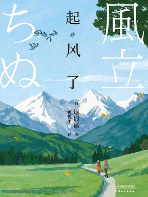 《起风了》:这部作品以著名飞机设计师堀越二郎为原型,讲述了他的成长与梦想,同时也融入了宫崎骏对战争与和平的深刻思考,影片中的飞行场景美轮美奂,令人叹为观止。