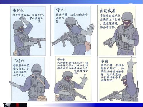 技能搭配与战术运用