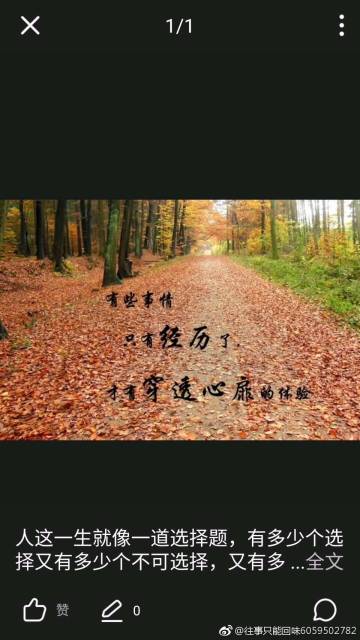这些目击事件往往伴随着惊人的描述:高速移动、无声无息、突然消失或改变方向等,远远超出了人类现有飞行器的能力范围,更令人震惊的是,一些目击报告还涉及到了与UFO的近距离接触,甚至有人声称目睹了外星生物的存在,虽然这些说法尚未得到官方证实,但它们无疑为外星生命的存在提供了更多可能性。