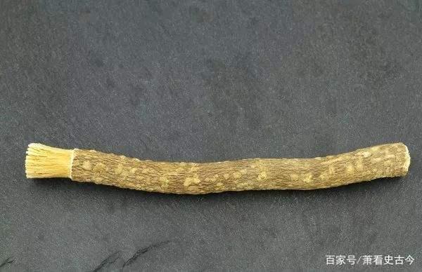 杨柳枝:古代牙刷的雏形
