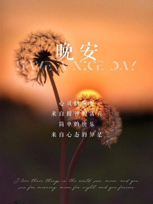 第四章:温暖心灵,传递正能量