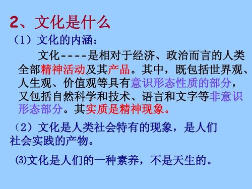 文化影响与社会价值