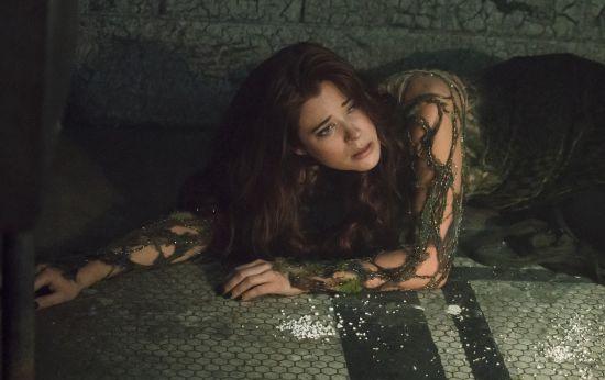 在DC宇宙的众多反派中,毒藤女以其独特的魅力成为了不可磨灭的经典,而这款超性感蛇蝎美人雕像的推出,更是将这份魅力推向了一个新的高度,它不仅仅是对毒藤女形象的一次完美再现,更是对DC宇宙文化的一次深刻致敬,在未来的日子里,无论岁月如何变迁,毒藤女的诱惑都将永远留在人们的心中,成为一段不朽的传奇。