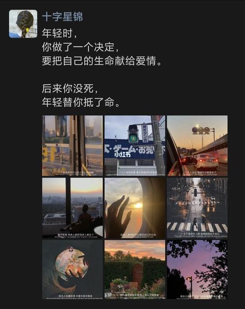 第二幕:老套设定下的情感深度挖掘