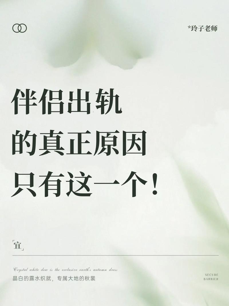 粉丝社区的共鸣与创作