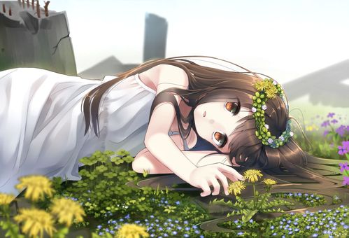 静谧之美:熟睡中的二次元少女