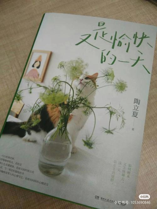 祈的美,是纯真与牺牲的化身,她的歌声能够治愈人心,她的存在则是为了守护他人,在末世的舞台上,她用自己的方式诠释了爱与希望的真谛。