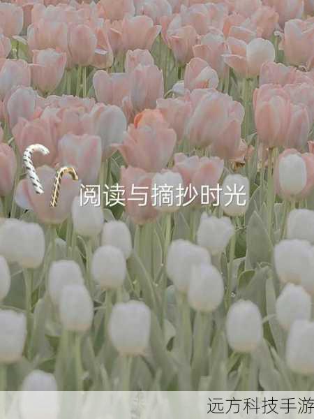 内力与囧趣之间，一场关于误解与纯真的奇妙邂逅