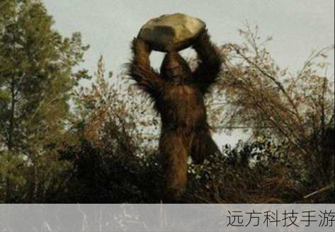 最新新闻,大脚怪,追寻阴影活动的最新进展与深度探索