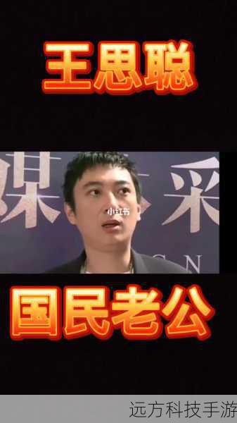 王思聪承担熊猫互娱20亿损失，投资纠纷背后的真相与反思