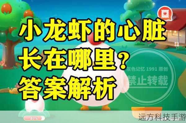 小龙虾的心脏之谜，探寻其独特生命之源与蚂蚁庄园的奇妙联系