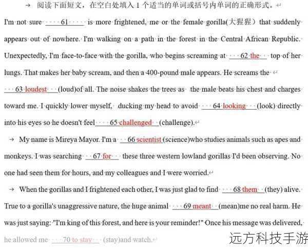 英语正式退出高考,八大疑问引发热议,各抒己见探索教育新篇章