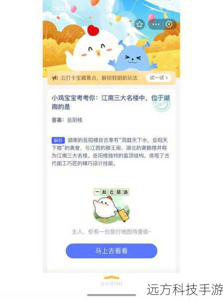 蚂蚁庄园今天正确答案汇总,探索知识的小小世界