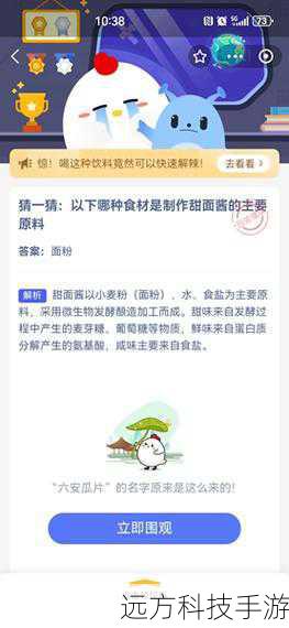 蚂蚁庄园探秘,羊骨汤中的白色奥秘与小鸡庄园的羊肉汤早间解答