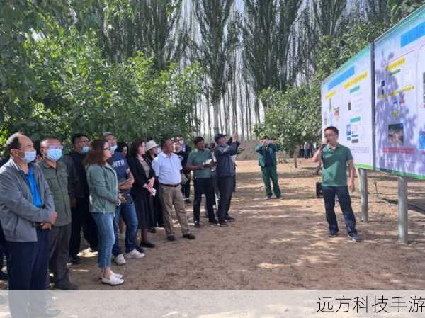 新疆叶城县的蚂蚁庄园与西域圣果之谜,石榴与杨梅的2.26日探秘