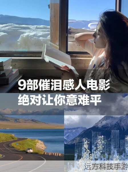感人至深,简直哭成狗!9部让眼睛湿润的催泪电影