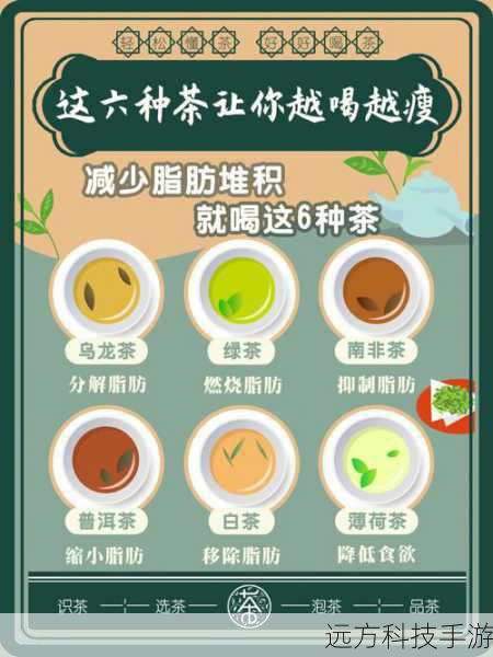 饭后喝茶,促进脂肪排出的科学探讨与蚂蚁庄园6月20日答案揭秘