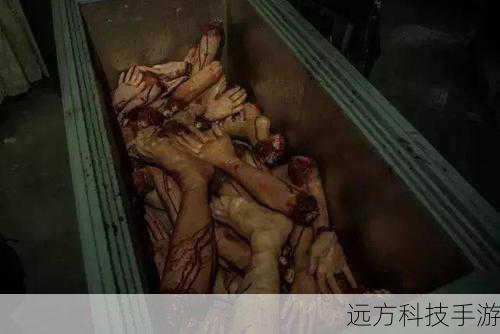 午夜凶铃回响，超恐怖零 Zero怨灵COS背后的惊悚之旅