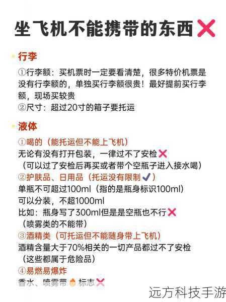 坐飞机时,这些特别物品能否随身携带?——揭秘巧克力、辣椒酱与蚂蚁的旅行规则