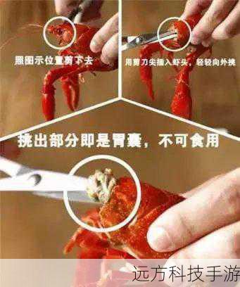 揭秘夜宵霸主小龙虾,心脏之谜与美味背后的奥秘