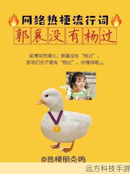 解码网络热词泰裤辣,从流行语到文化现象的深度剖析