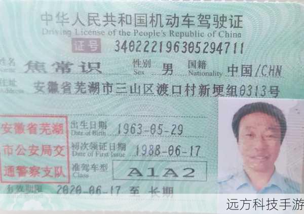 元旦庆典·浮樱影华,A1与C1区域暗流涌动下的打捞盛宴汇总
