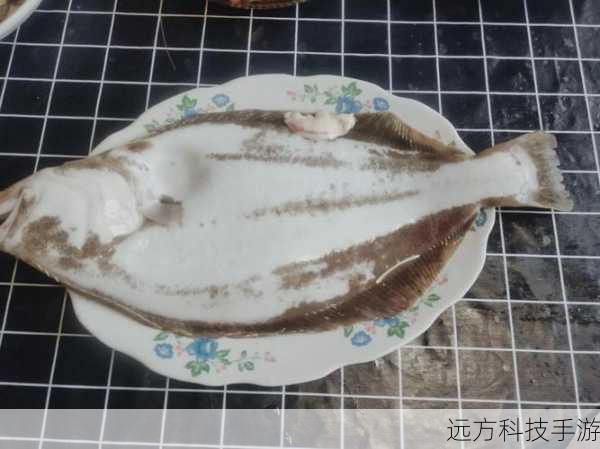 鳎目是龙利鱼吗?蚂蚁庄园里的五斤鳎目揭秘