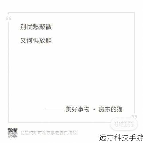 我愿为你穿上永恒的白色婚纱，恋爱画板的浪漫旋律与歌词解析